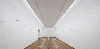 Marinus Boezem in “Bird’s – eye wiew”