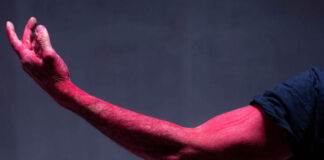 “Ex Novo. Digestioni a catena”