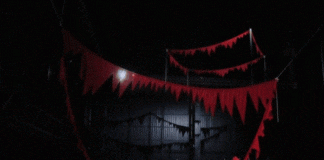 Stregati dall’opera di Sheela Gowda