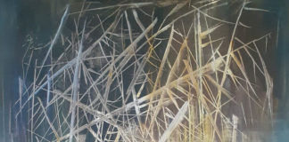 Natura. Incontri e Alchimie