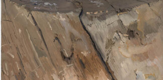 Michele Tocca. Repoussoir alla Gam di Torino