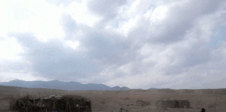 Il Capo del Villaggio