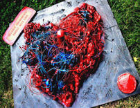 Ivo Stelluti: "Tutto puÃ² cambiare..."