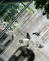 Butterfly effect di Cristini a Parigi