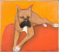 L'opera di Luca Lischetti