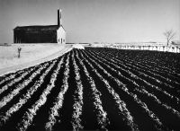 Fotografia Elio Ciol