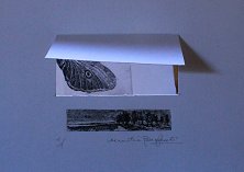 L'opera di Emilia Bonfanti