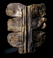 'Vittoria di Samotracia', bronzo 2008