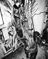 La Dafne vista dall'alto