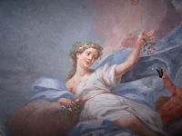 Partic. affresco di Cucchi