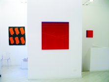 L'allestimento della mostra di Claude Viallat e Gianfranco Zappe