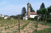 La chiesa della Madonna delle vigne