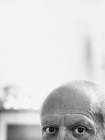 Pablo Picasso, foto di Villers