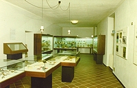 L'interno del museo