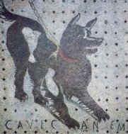 Mosaico romano raffigurante un cane