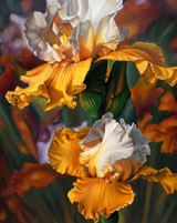 un'opera di S.A.Ferrario