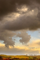 Una foto di D. Nacci