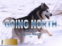 Un frame del film Going North
