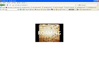 Es. pagina web: roaming-art.it