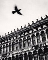 Michael Kenna - Flying Bird over San Marco Venice, 1990