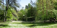 Immagine del giardino