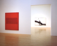 Un'opera di Rothko - Moca, Collezione Panza