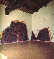 G. Ortelli, Magnitudo