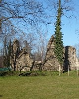 Un partic. del Parco Archeologico di Castelseprio