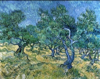 Van Gogh, 'Uliveto', 1889