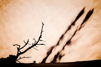 Un'altra foto esposta