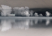 Un'altra foto in mostra