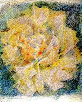 "Rosa", 1972, matita su carta