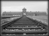 Immagine di Auschwitz