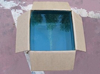 Un'opera di Dubravka Vidovic