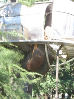 Un particolare del danno