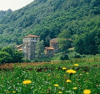 Il Monastero di Torba, ph. ArchivioFai