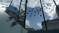 Butterfly effect, 2009 - Trieste