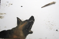 Un'opera di Fettolini