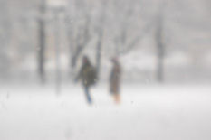 foto bianca, figure nella neve