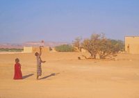 Un'opera di Carolina Taverna