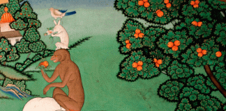 Il Racconto dei Quattro Fratelli Armoniosi