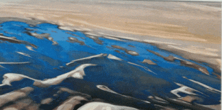 Il colore della Terra