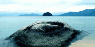 Gli Zingari del mare