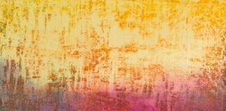 Manuel Bonfanti tra colore, spazio e trascendenza