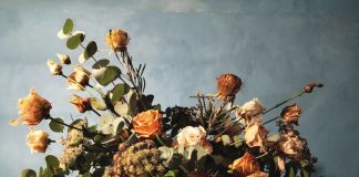 Quando sboccia la maestria