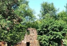 Sulle orme degli Impressionisti, artisti in Cascina