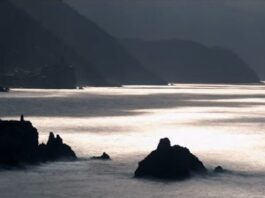 Il paesaggio dell’anima