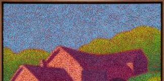 Nei silenti scenari di Camille Marie Dahl