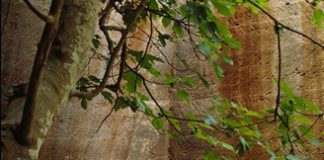 L’essenza del gesto nell’opera di Melina Mulas