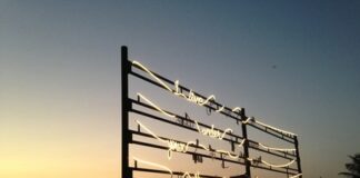 La luce del pensiero, la scrittura del silenzio